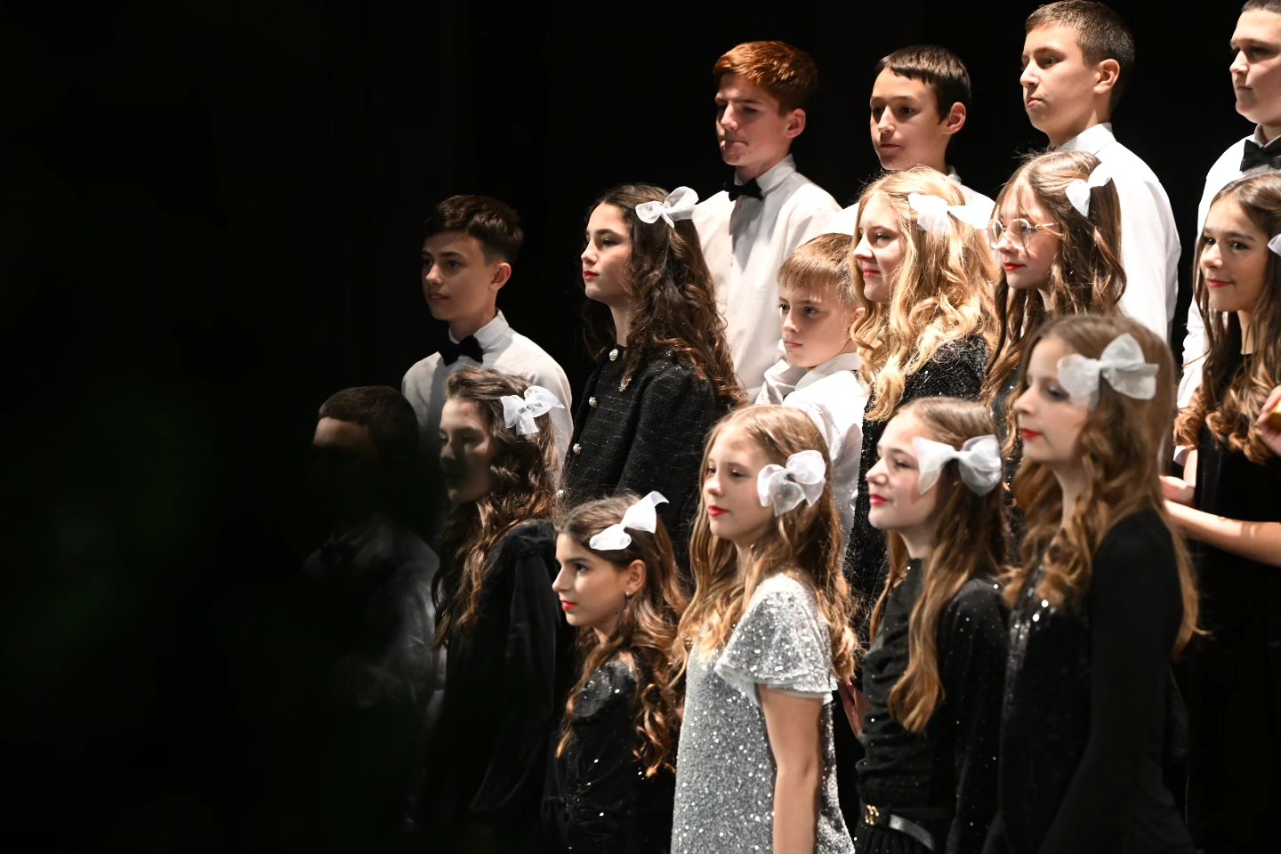 Novogodišnji koncert